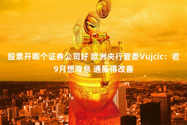 股票开哪个证券公司好 欧洲央行管委Vujcic：若9月想降息 通胀得改善