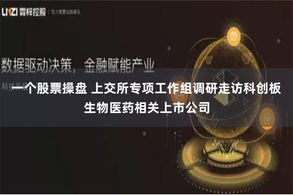 一个股票操盘 上交所专项工作组调研走访科创板生物医药相关上市公司